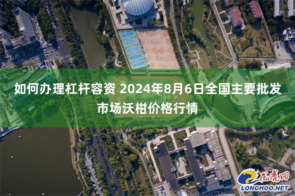 如何办理杠杆容资 2024年8月6日全国主要批发市场沃柑价格行情