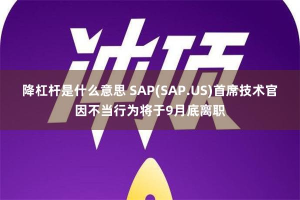 降杠杆是什么意思 SAP(SAP.US)首席技术官因不当行为将于9月底离职