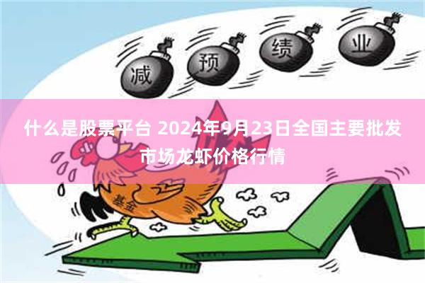 什么是股票平台 2024年9月23日全国主要批发市场龙虾价格行情