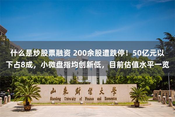 什么是炒股票融资 200余股遭跌停！50亿元以下占8成，小微盘指均创新低，目前估值水平一览