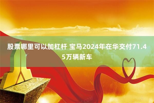 股票哪里可以加杠杆 宝马2024年在华交付71.45万辆新车