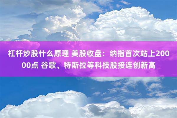 杠杆炒股什么原理 美股收盘：纳指首次站上20000点 谷歌、特斯拉等科技股接连创新高