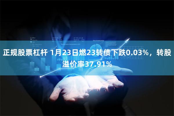 正规股票杠杆 1月23日燃23转债下跌0.03%，转股溢价率37.91%